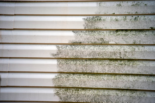 Best Composite Siding  in Houghton, MI