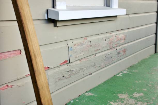 Best Storm Damage Siding Repair  in Houghton, MI
