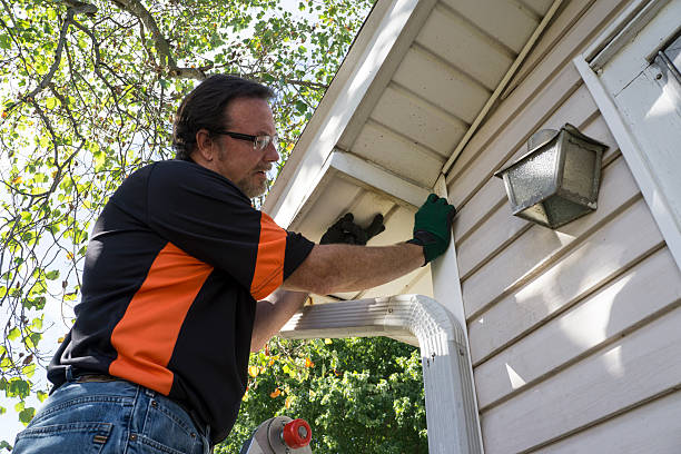 Best Wood Siding Installation  in Houghton, MI